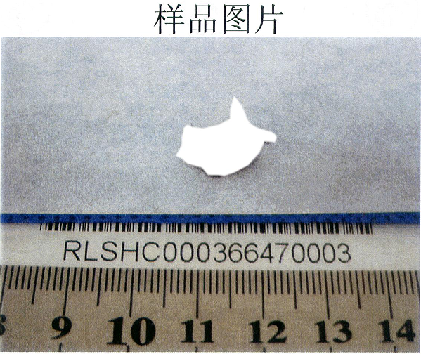 QQ_1770193184426.png